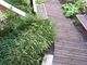 Garden in the building