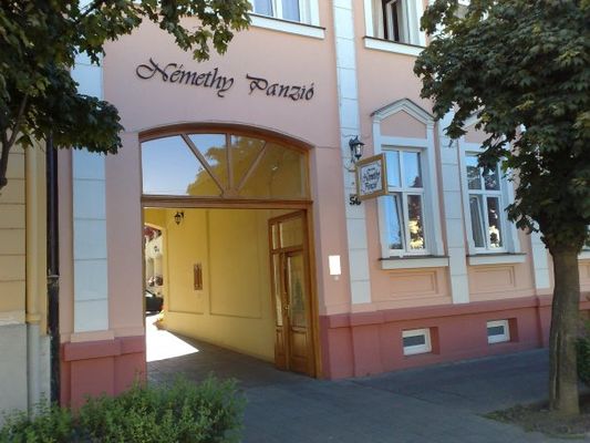N&eacute;methy Panzi&oacute;, Debrecen