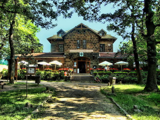 Baron Lorand Eotvos Cottage, Dobogókő